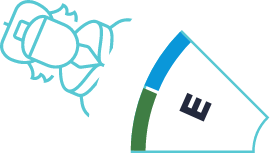 Role graph