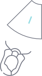 Role graph